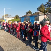 IMG_20250331_094110
