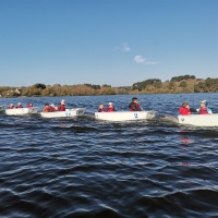 IMG_20250331_110449