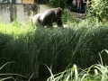 IMG_1937