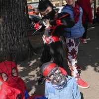 IMG-20240420-WA0010