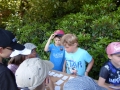 SAM_0779