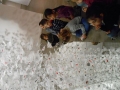 DSCN3817