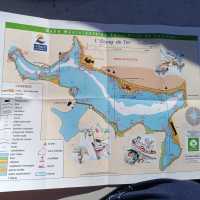 IMG-20251008-WA0006