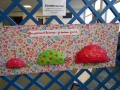 DSCN3473.jpg