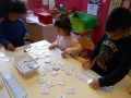 DSCN5245