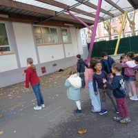 2_IMG_20251110_134251