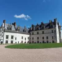 IMG-20250513-WA00071