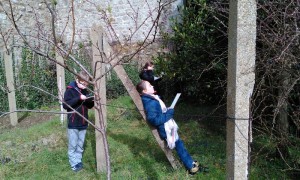IMG_20150302_150344